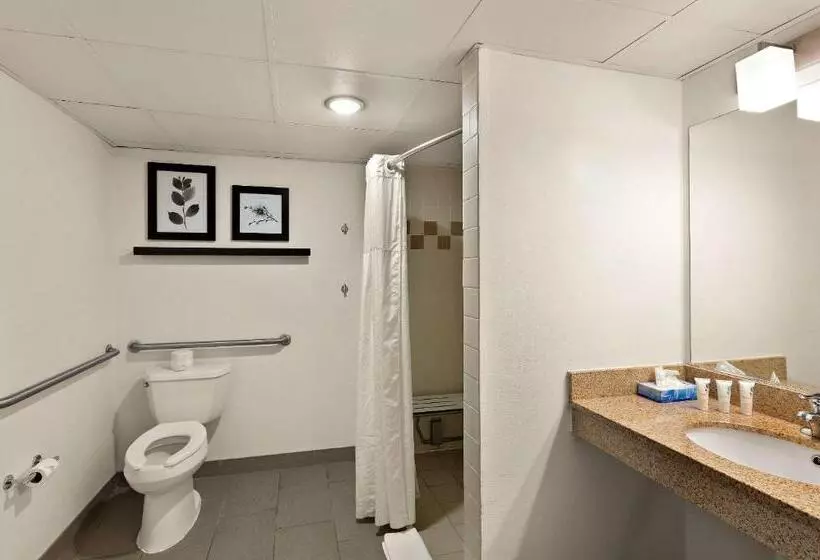 身障者適用キングサイズベッドルーム, Country Inn & Suites By Radisson, Jonesboroughjohnson City West, Tn
