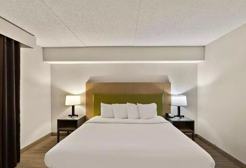 身障者適用キングサイズベッドルーム, Country Inn & Suites By Radisson, Jonesboroughjohnson City West, Tn