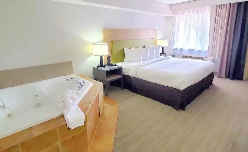 キングサイズベッドのスイートルーム, Country Inn & Suites By Radisson, Jonesboroughjohnson City West, Tn