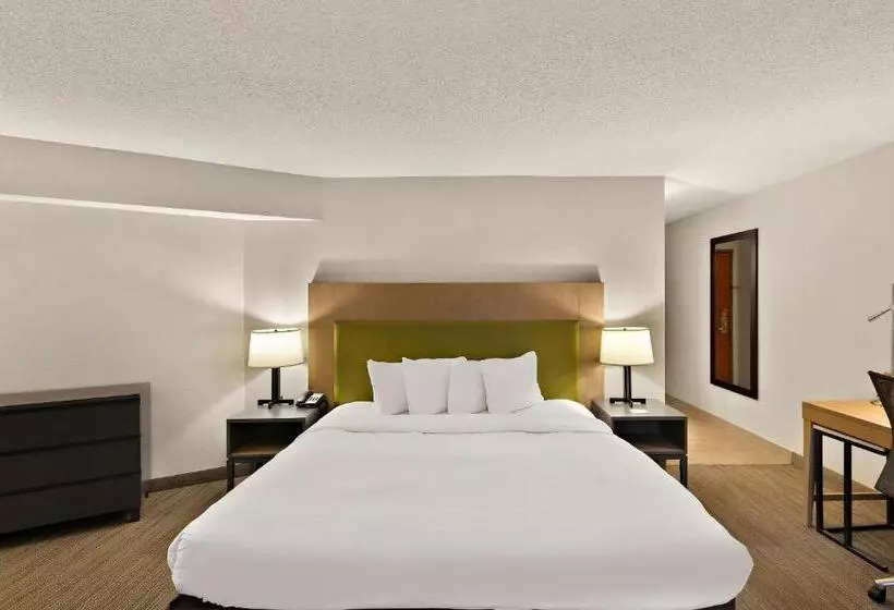 キングサイズベッドのスイートルーム, Country Inn & Suites By Radisson, Jonesboroughjohnson City West, Tn