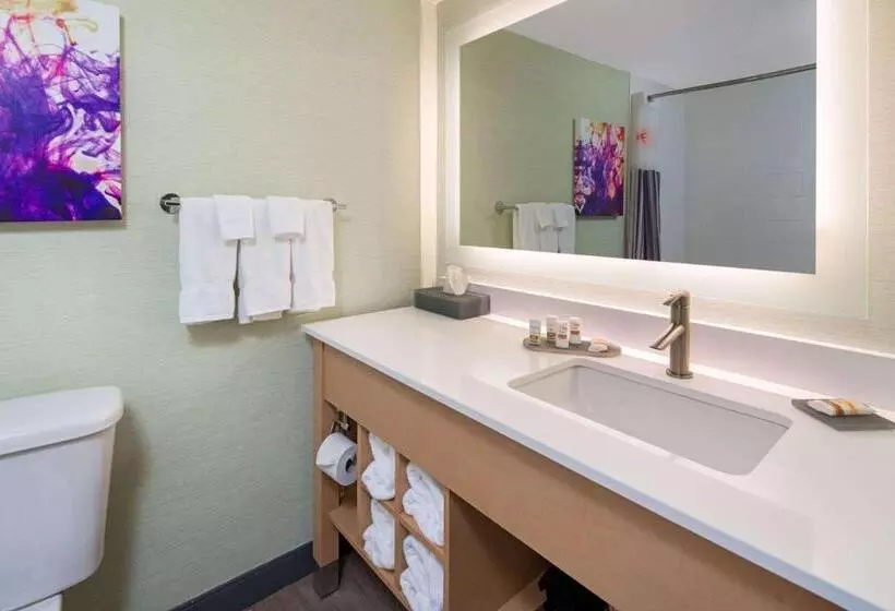 身障者適用キングサイズベッドルーム, La Quinta By Wyndham Orange County Airport