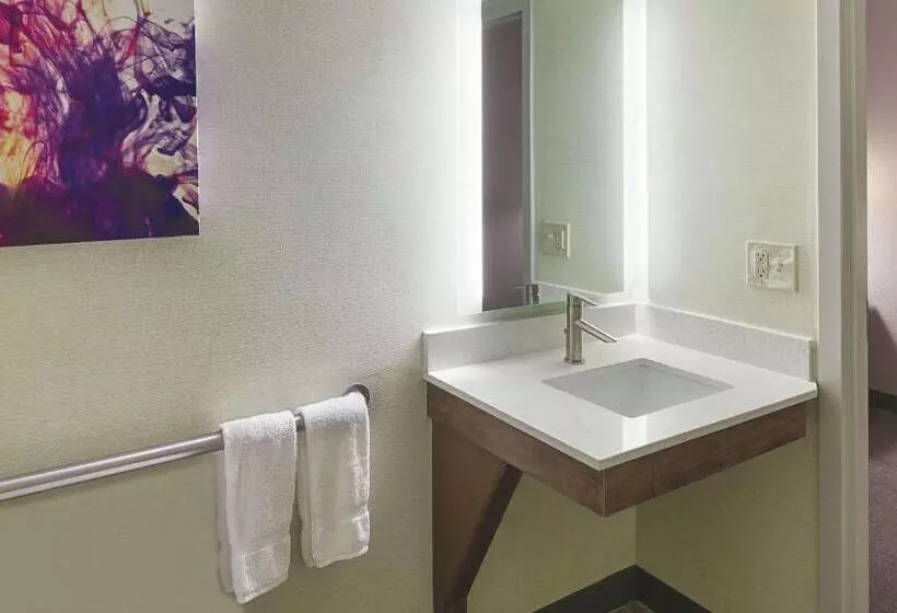 身障者適用キングサイズベッドルーム, La Quinta By Wyndham Orange County Airport