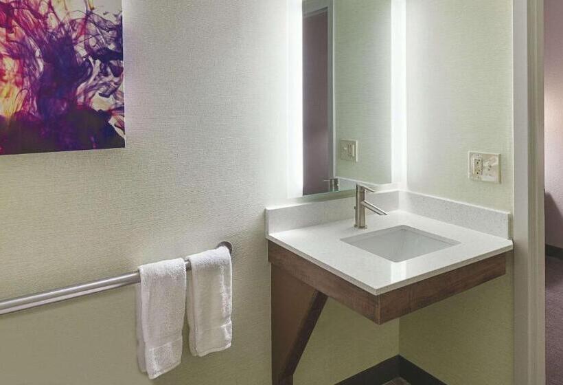 غرفة قياسية لذوى الاحتياجات الخاصة, La Quinta By Wyndham Orange County Airport