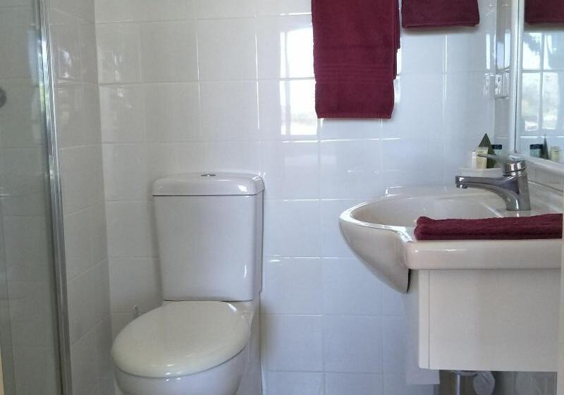 חדר סטנדרט עם מיטת קינג, Rodeway Inn Near Ybor City  Casino