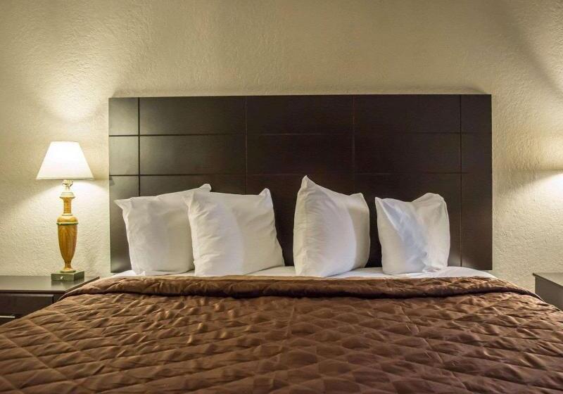 חדר סטנדרט עם מיטת קינג, Rodeway Inn Near Ybor City  Casino