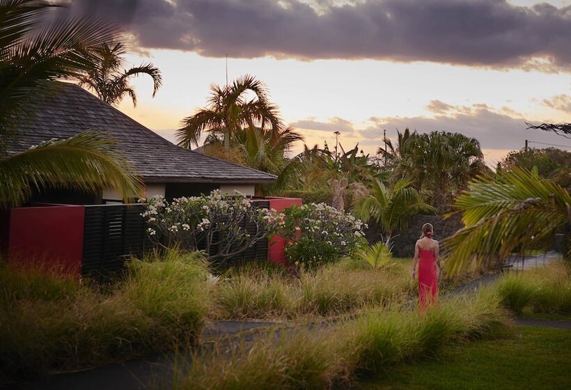 اتاق لوکس, Palm Hotel & Spa