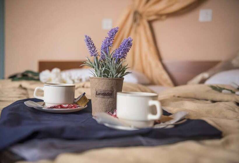 スタンダードスタジオ, Antonios