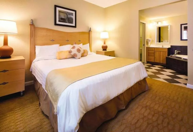 سوئیت با تخت بزرگ, Club Wyndham Ocean Boulevard