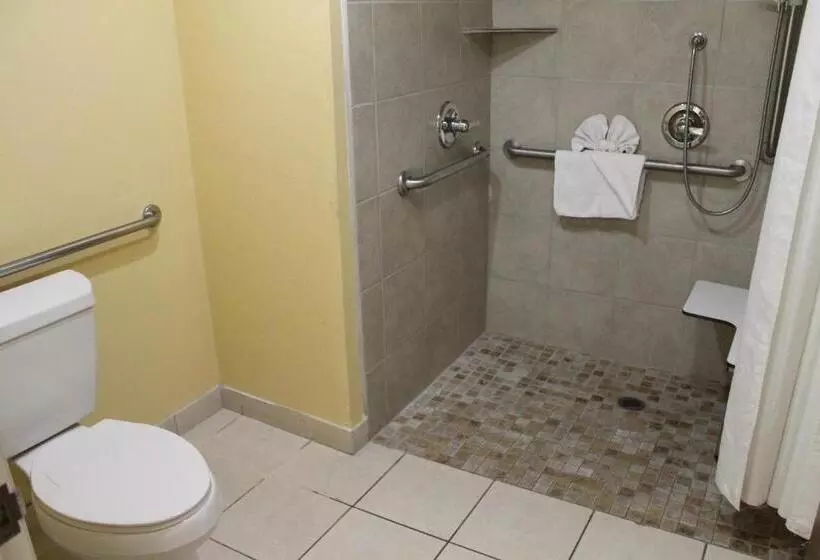 اتاق استاندارد با تخت بزرگ برای معلولان, Quality Inn Near Hearst Castle