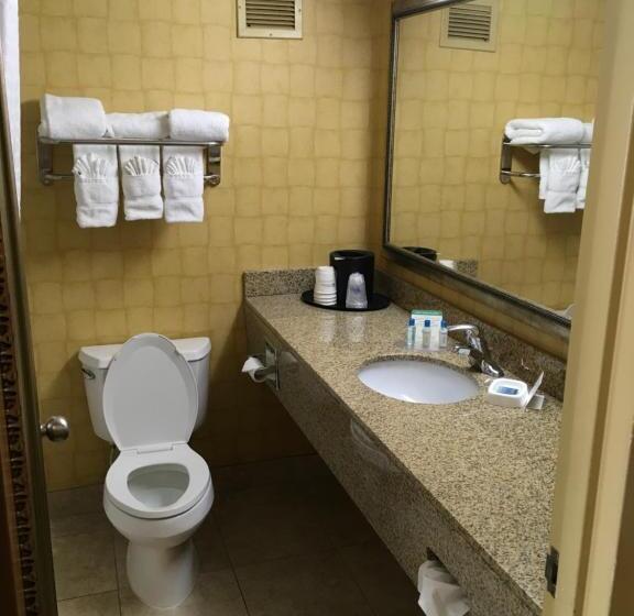 带大床的标准间, The Independence Inn   Charlotte Matthews