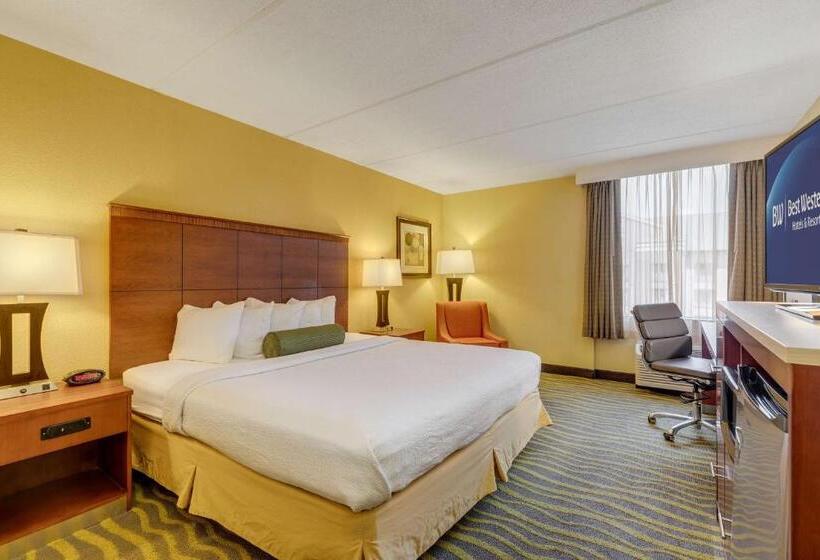 带大床的标准间, The Independence Inn   Charlotte Matthews