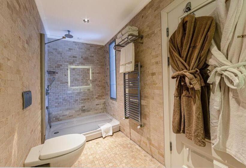Люкс Повышенной Комфортности, Bodrium Hotel & Spa