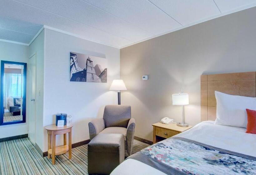 스탠다드 룸 킹사이즈 침대, Best Western  Plus Waltham Boston