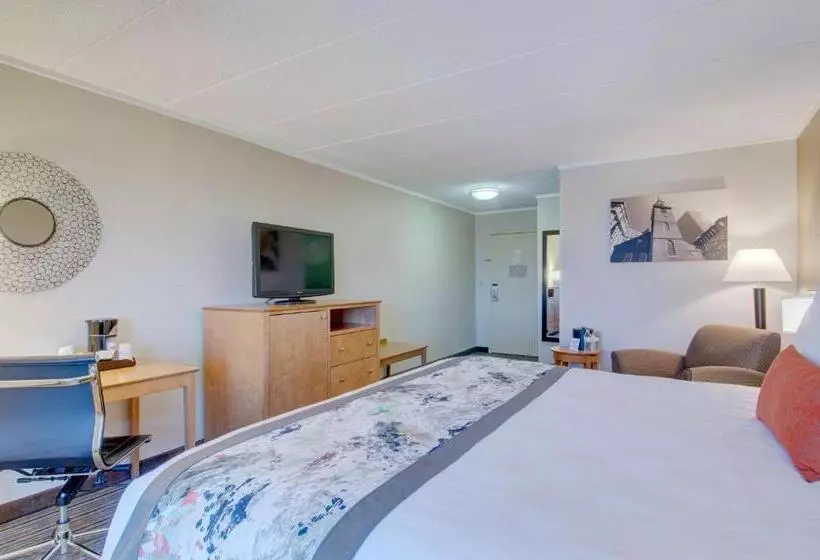 اتاق استاندارد با تخت بزرگ, Best Western  Plus Waltham Boston