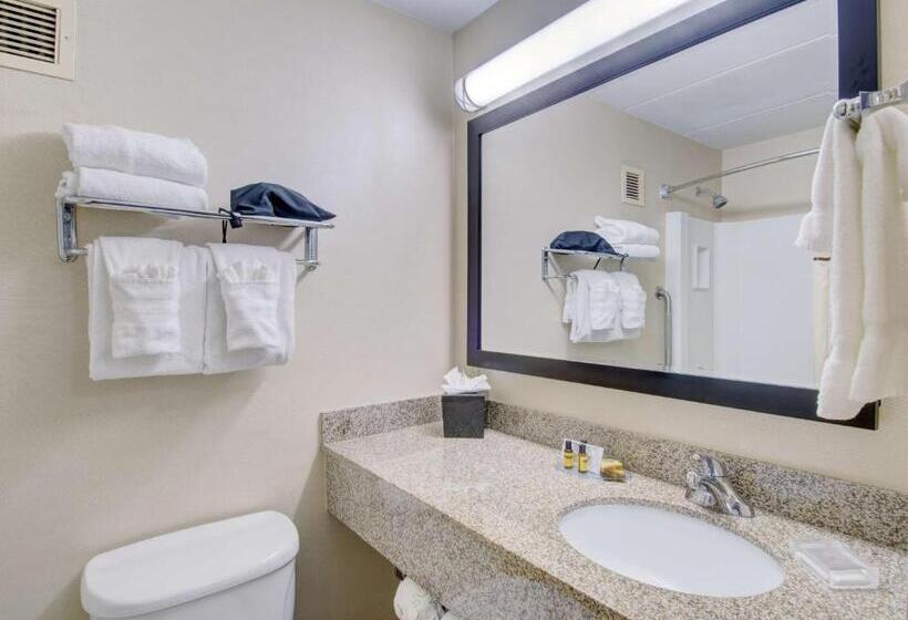 스탠다드 룸 킹사이즈 침대, Best Western  Plus Waltham Boston