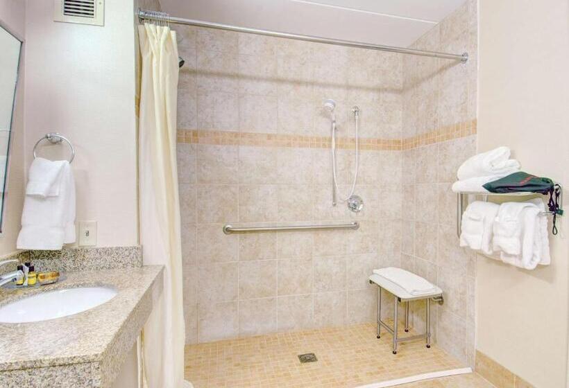 غرفة قياسية سرير كينج لذوى الإحتياجات الخاصة, Best Western  Plus Waltham Boston