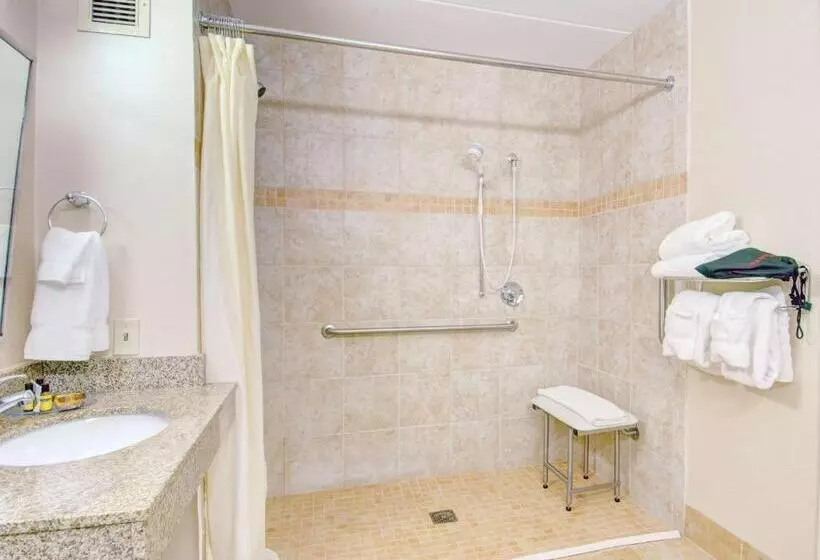 اتاق استاندارد با تخت بزرگ برای معلولان, Best Western  Plus Waltham Boston