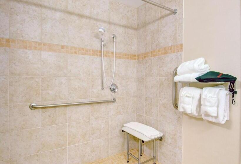 غرفة قياسية سرير كينج لذوى الإحتياجات الخاصة, Best Western  Plus Waltham Boston