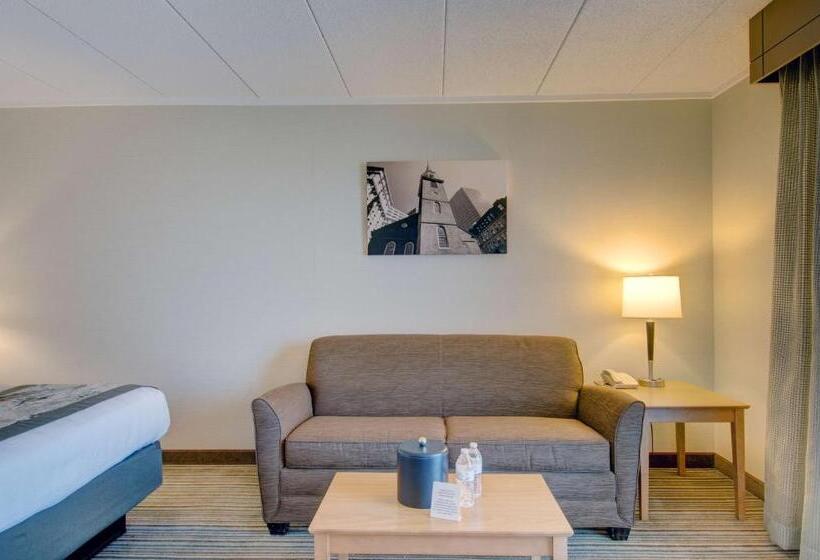 스탠다드 룸 킹사이즈 침대, Best Western  Plus Waltham Boston