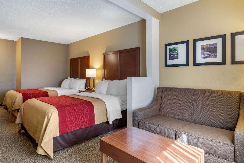 חדר סטנדרט, Comfort Inn & Suites Suwanee Sugarloaf