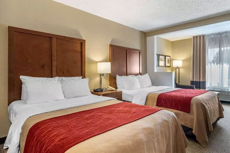 スタンダードルーム, Comfort Inn & Suites Suwanee  Sugarloaf
