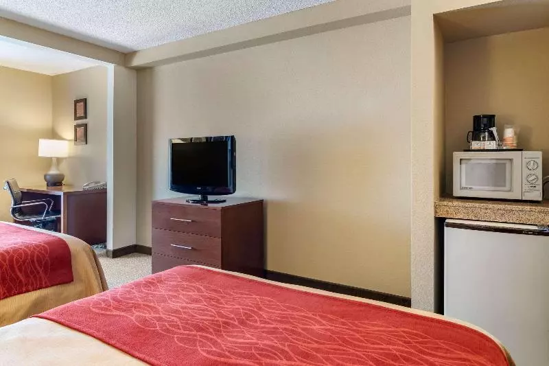 スタンダードルーム, Comfort Inn & Suites Suwanee  Sugarloaf