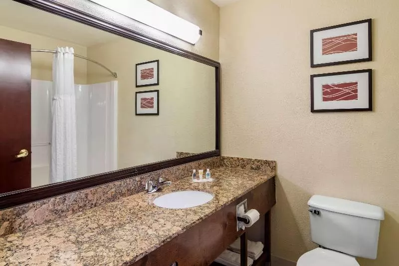 キングサイズベッドのスタンダードルーム, Comfort Inn & Suites Suwanee  Sugarloaf