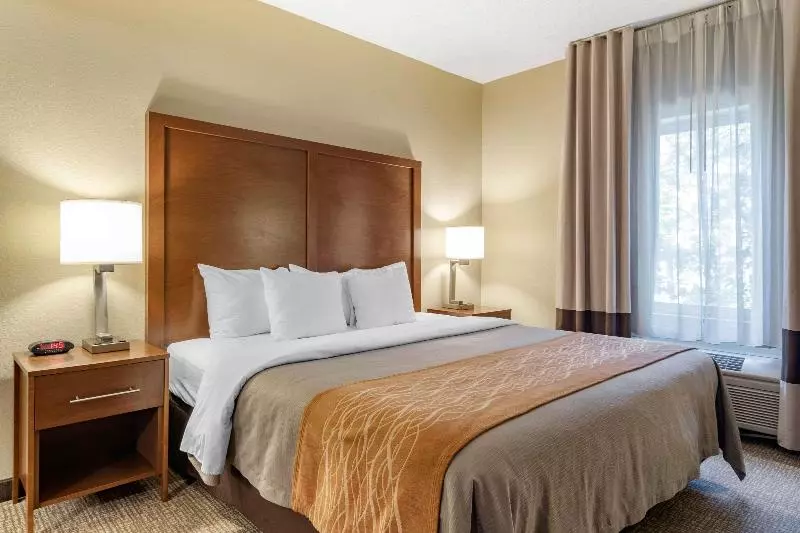 キングサイズベッドのスタンダードルーム, Comfort Inn & Suites Suwanee  Sugarloaf
