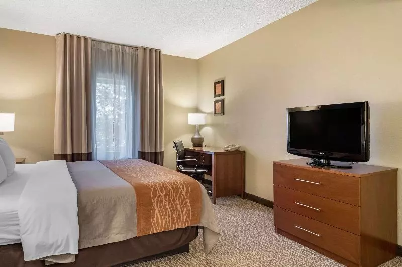 キングサイズベッドのスタンダードルーム, Comfort Inn & Suites Suwanee  Sugarloaf