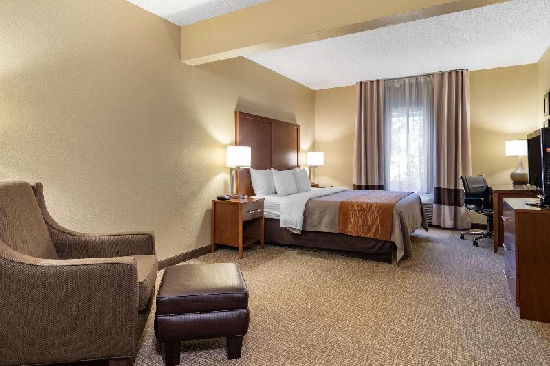 חדר סטנדרט עם מיטת קינג, Comfort Inn & Suites Suwanee Sugarloaf