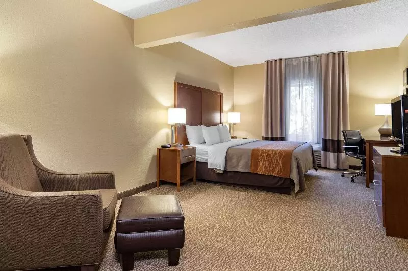キングサイズベッドのスタンダードルーム, Comfort Inn & Suites Suwanee  Sugarloaf