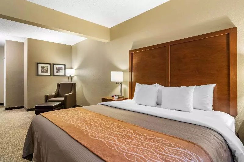キングサイズベッドのスタンダードルーム, Comfort Inn & Suites Suwanee  Sugarloaf
