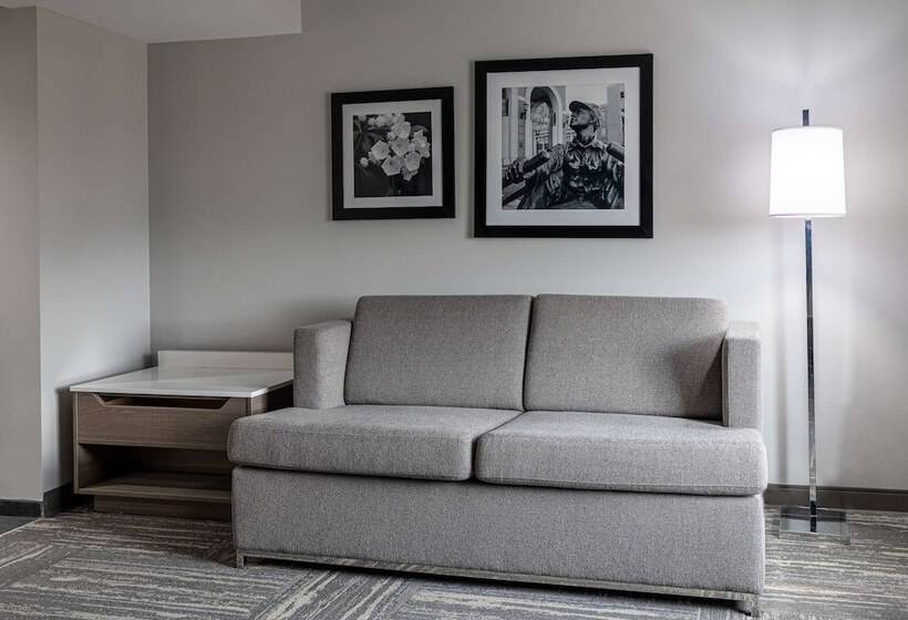 חדר סטודיו סטנדרד, Hampton Inn & Suites Knoxvilledowntown