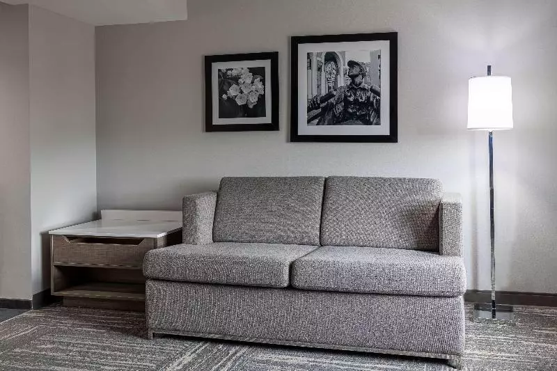 キングサイドベッドのスタンダードワンルーム, Hampton Inn & Suites Knoxvilledowntown