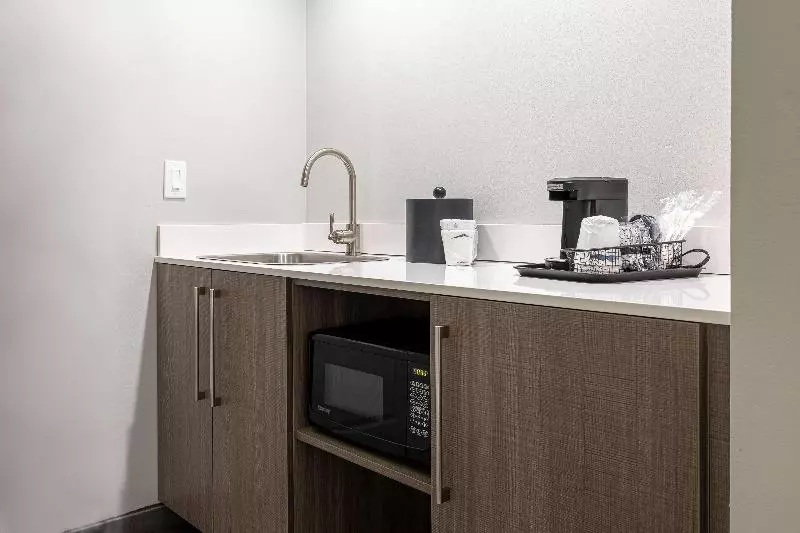 キングサイズベッドのスタンダードルーム, Hampton Inn & Suites Knoxvilledowntown