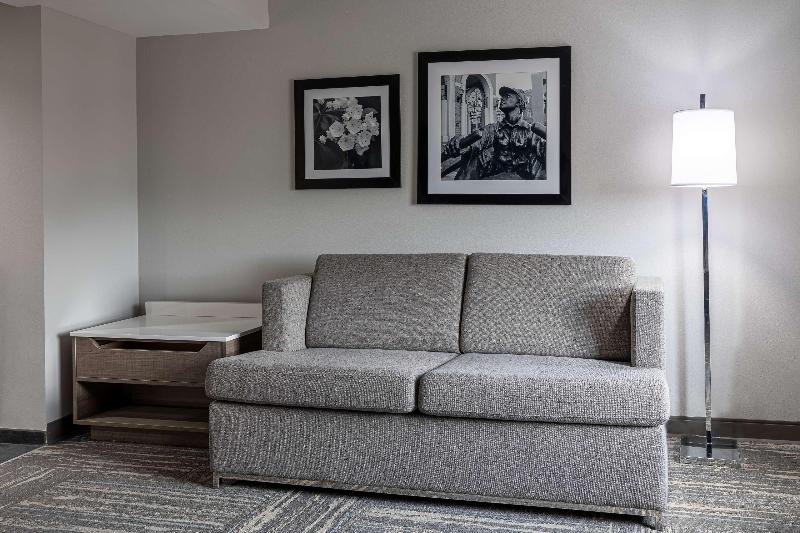 キングサイズベッドのスタンダードルーム, Hampton Inn & Suites Knoxvilledowntown