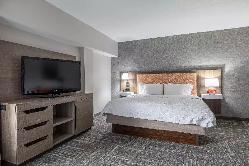 キングサイズベッドのスタンダードルーム, Hampton Inn & Suites Knoxvilledowntown