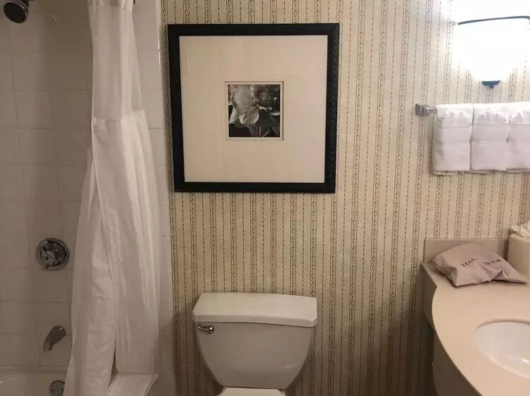 ２ダブルベッドのスタンダードルーム, Hilton Garden Inn Addison