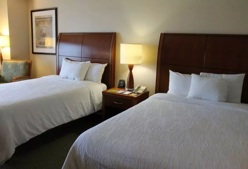 ２ダブルベッドのスタンダードルーム, Hilton Garden Inn Addison
