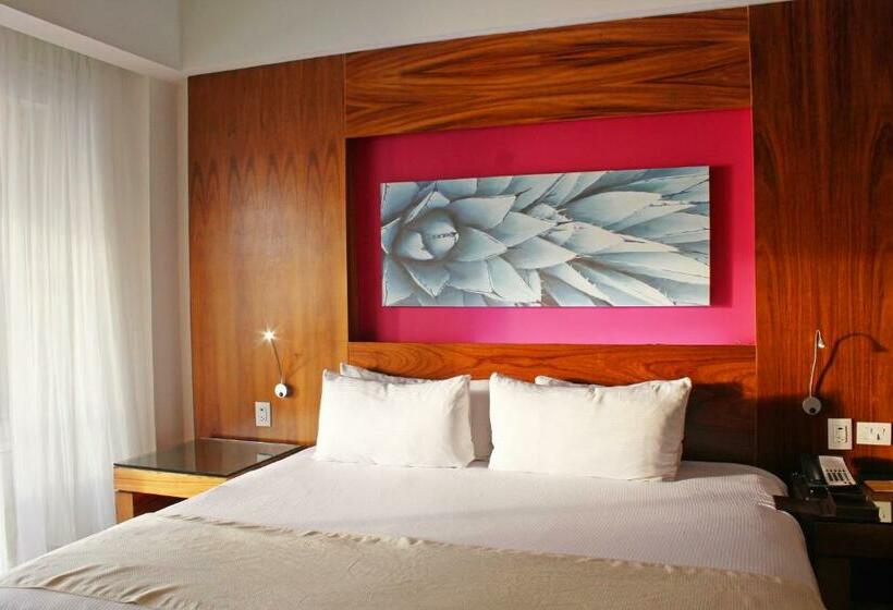 带大床的小型套房, Krystal Grand Los Cabos - All Inclusive