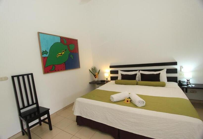 غرفة قياسية سرير كينج, Seis Playas