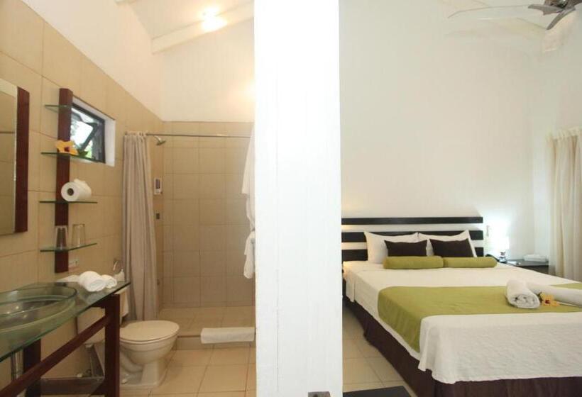 غرفه قياسيه سريرين مزدوجين, Seis Playas