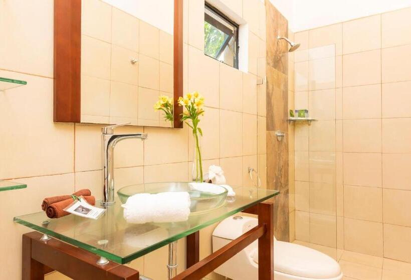 غرفه قياسيه سريرين مزدوجين, Seis Playas