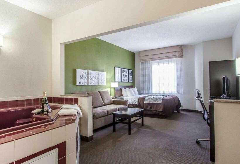 Люкс, Sleep Inn & Suites Near I 90 And Ashtabula