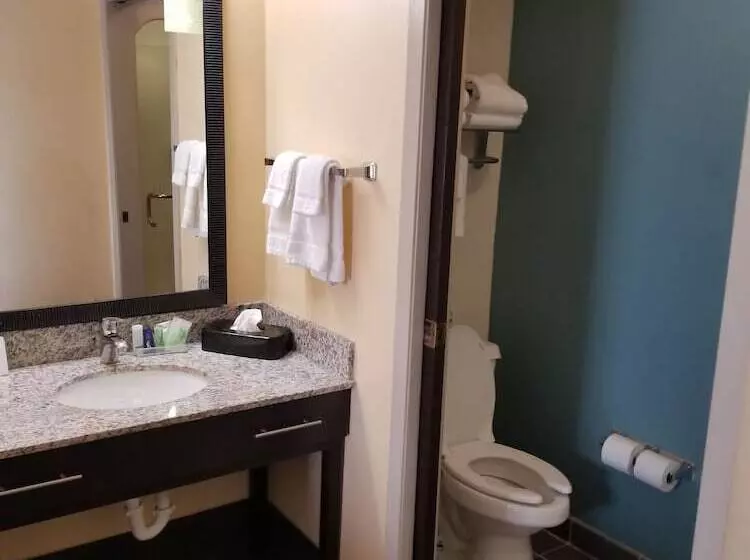 اتاق استاندارد با 2 تخت دوبل, Sleep Inn Springfield West