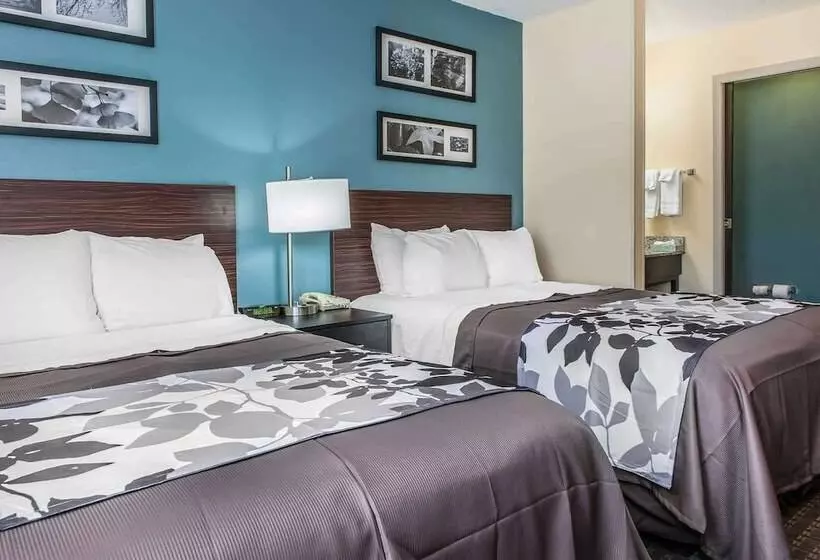 اتاق استاندارد با 2 تخت دوبل, Sleep Inn Springfield West