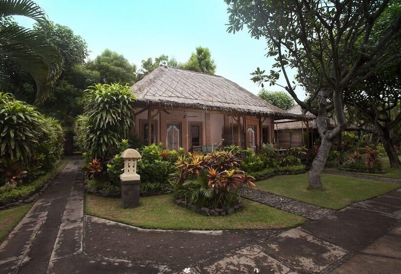Полулюкс, Taman Sari Bali Resort And Spa