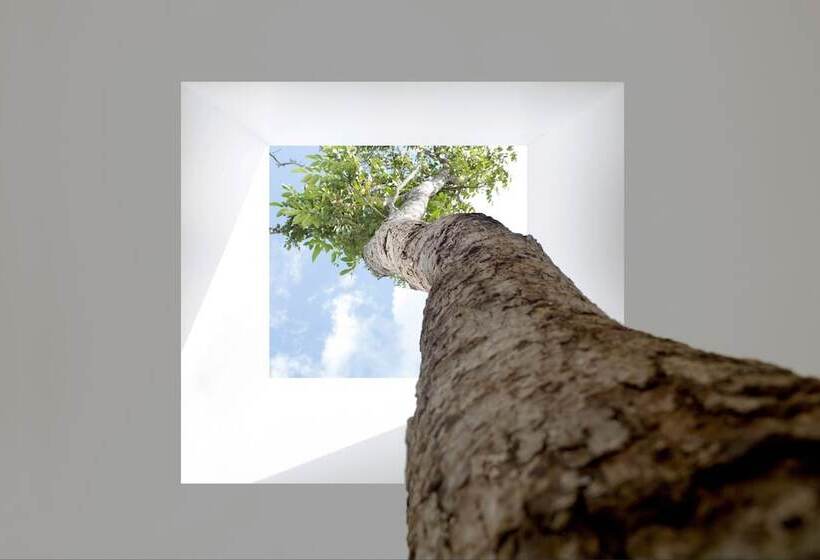 プール付き１ベッドルームヴィラ, The Library