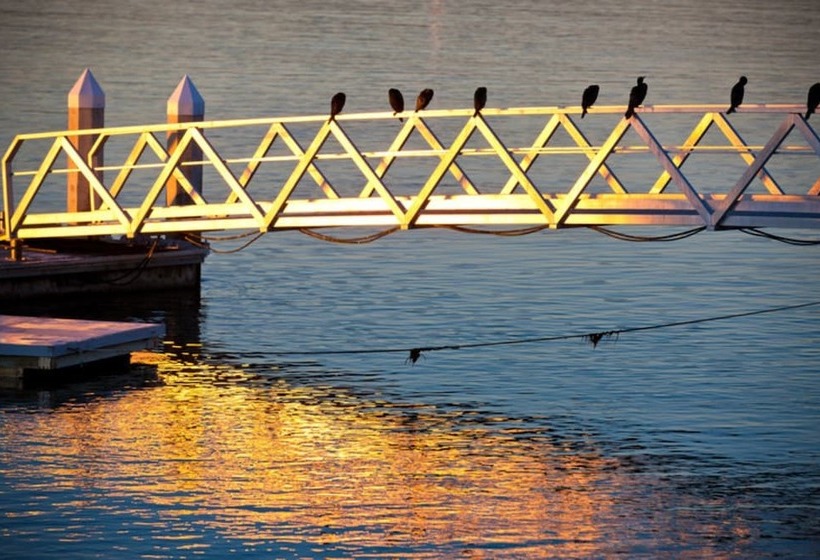 جناح ذو إطلالة, Trinity Wharf Tauranga