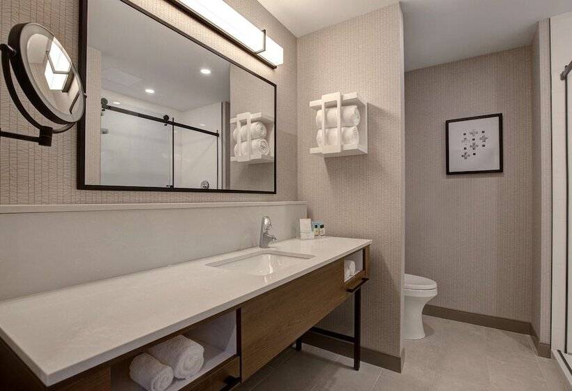 Номер Базовый Двуспальная Кровать, Hampton Inn By Hilton Montreal Downtown